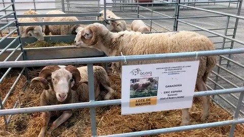 Desde las organizaciones agrarias agradecen la colaboraci&oacute;n y la receptividad de Feria de Zaragoza. Foto de archivo