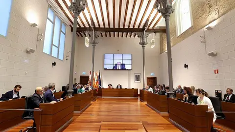 La DPZ ha celebrado este mi&eacute;rcoles su pen&uacute;ltimo pleno ordinario