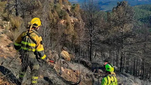 Preocupan los denominados incendios de sexta generaci&oacute;n, aquellos que destacan por su virulencia, como fue el caso del que se origin&oacute; entre Castell&oacute;n y Teruel