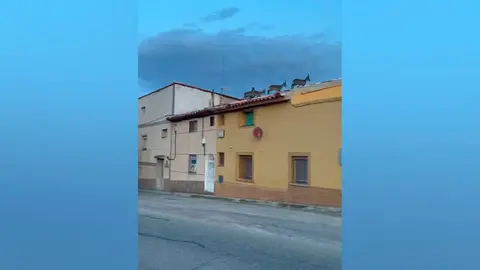 Corzos saltando por los tejados