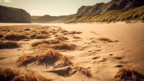 paisaje des&eacute;rtico