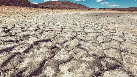 terreno desierto sequ&iacute;a