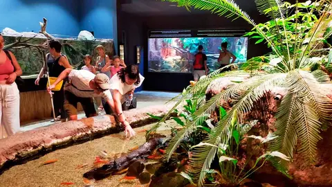 Hasta 16 militares ucranianos heridos de guerra han visitado el acuario de Zaragoza
