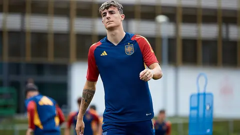 Alejandro Franc&eacute;s con la Selecci&oacute;n
