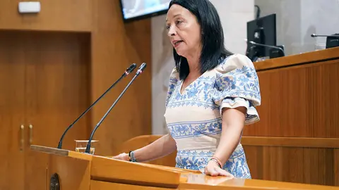 La consejera Carmen Sus&iacute;n ha anunciado este plan durante el Pleno de las Cortes