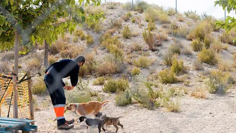 Las asociaciones que aspiren a ellas deber&aacute;n presentar proyectos de divulgaci&oacute;n y sensibilizaci&oacute;n sobre la protecci&oacute;n animal