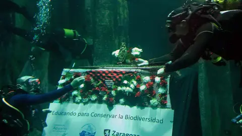 Ofrenda de Flores Acuario de Zaragoza
