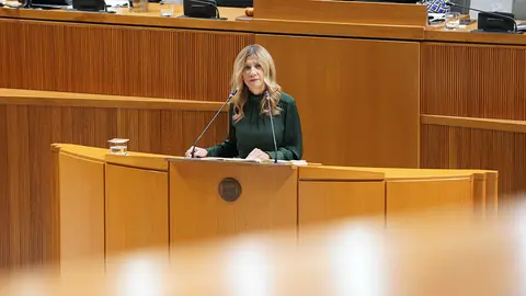 La actual vicepresidenta y responsable de Econom&iacute;a, Mar Vaquero, ha advertido de la &ldquo;gran amenaza&rdquo; que &ldquo;est&aacute; perpetrando&rdquo; el Gobierno de Espa&ntilde;a