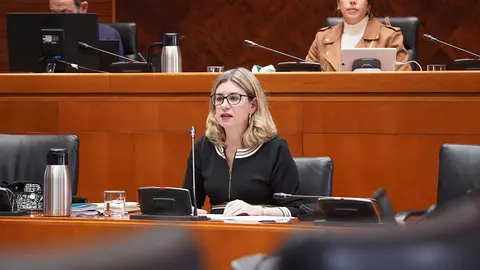 La consejera lo ha anunciado en la Comisi&oacute;n de Hacienda. Foto: Cortes de Arag&oacute;n