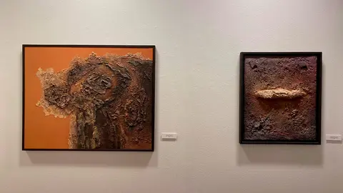 La sala de exposiciones del Palacio de Montemuzo abre las puertas al artista Alfonso Rodr&iacute;guez con la muestra titulada &ldquo;Sensaciones&rdquo;.