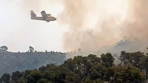 La tecnolog&iacute;a permite aprovechar la informaci&oacute;n de todos los &aacute;mbitos p&uacute;blicos y privados para tomar las mejores decisiones frente a emergencias