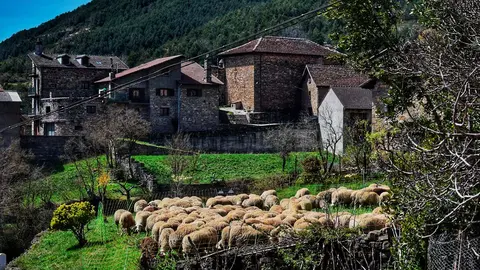 Imagen de una localidad rural 