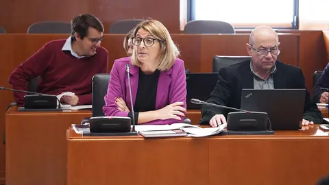 Vox defiende este jueves en las Cortes una moci&oacute;n para instar a expulsar a los inmigrantes ilegales o cortar el grifo de ayudas a Palestina. Foto: Cortes de Arag&oacute;n
