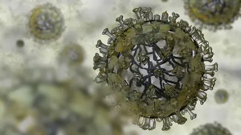 Modelo realista del virus de la gripe