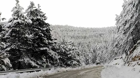 Carretera