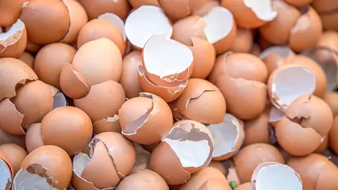 huevos