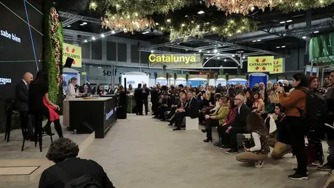 fitur-33