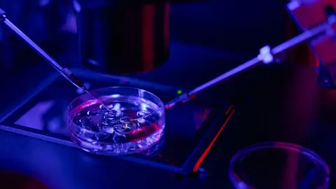fecundaci&oacute;n-in-vitro