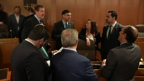 Pleno-Cortes-7