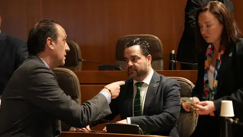 Pleno-Cortes-10