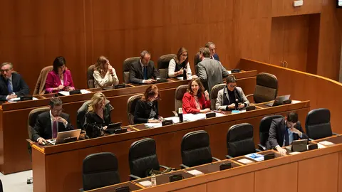 Pleno-Cortes-18
