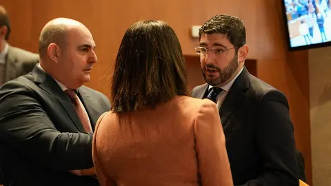 Pleno-Cortes-26