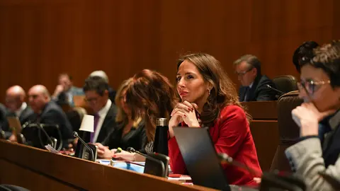 Pleno-Cortes-28