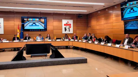 Bancalero ha asistido al Consejo Interterritorial. Foto: Gobierno de Arag&oacute;n