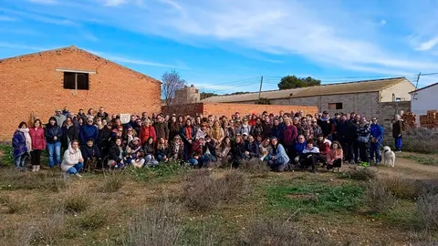 gatos3