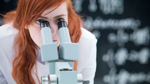 investigacion