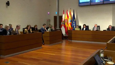 Pleno de la Diputaci&oacute;n de Zaragoza