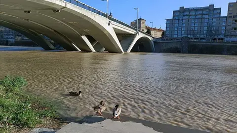 crecida-ebro-zaragoza