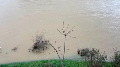 crecida-ebro-4