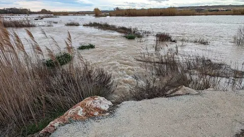 inundaciones-ribera-baja-agua-r&iacute;o-Ebro