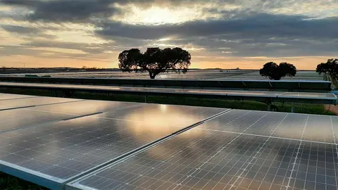Planta-Arenales-Iberdrola