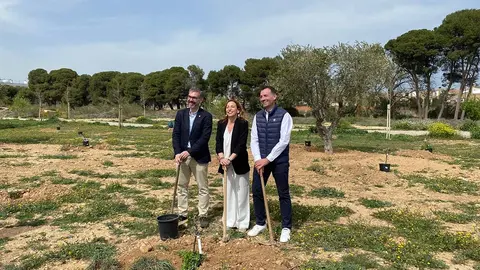 Bosque-zaragozanos
