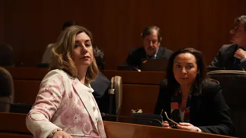 Claudia P&eacute;rez (izquierda) antes del Pleno. Foto: Andr&eacute;s Garc&iacute;a