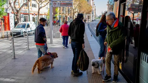 foto-perro