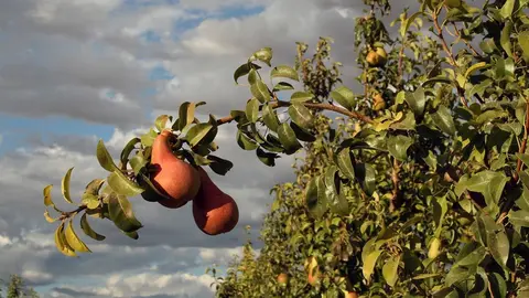 La Guardia Civil de Huesca procedi&oacute; a la inspecci&oacute;n de las zonas agr&iacute;colas afectadas el pasado 8 de octubre