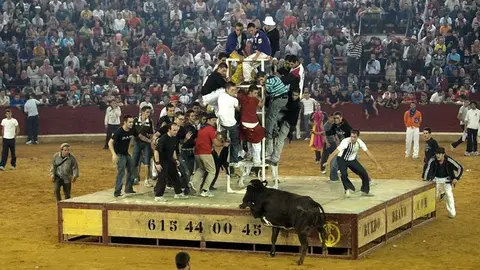 Vaquillas en las Fiestas del Pilar. Foto: Oscar Puigdevall