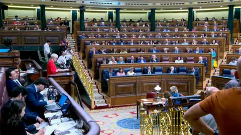 congreso-amnistia