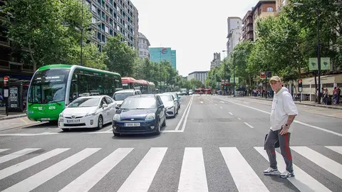 Coches en el Paseo Pamplona de Zaragoza. Foto: Pilar &Aacute;lvarez