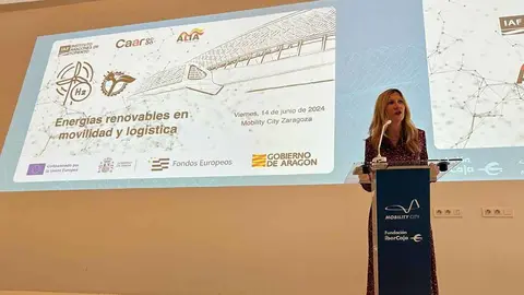 mar-vaquero-ayudas-renovables