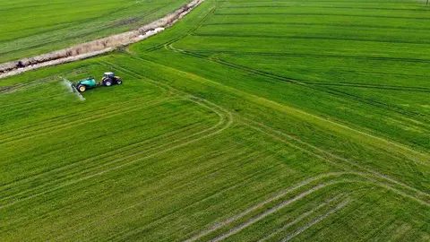 campo
