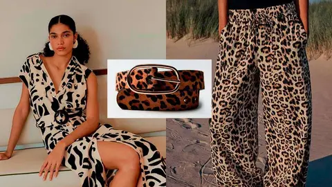 leopardo
