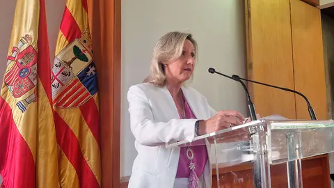La directora gerente del Salud, Ana Castillo. Foto: Gobierno de Arag&oacute;n