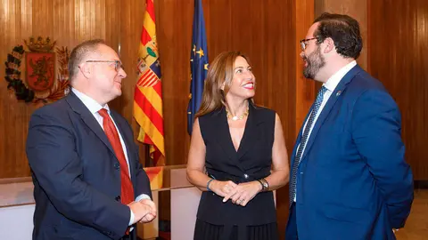 Zaragoza ser&aacute; ciudad piloto de una app que facilita el aparcamiento a las personas con discapacidad