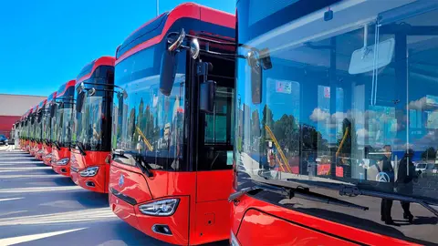 Buses del &aacute;rea metropolitana de Zaragoza. Foto: DGA