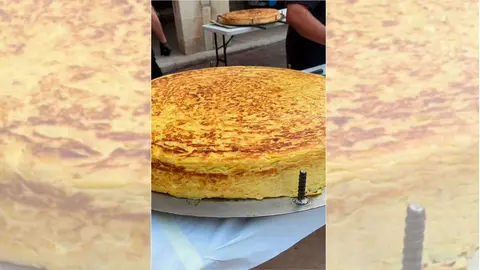 tortilla