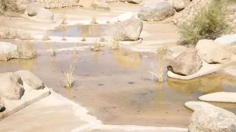 _canal_1-7